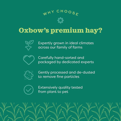 Oxbow Western Timothy Hay 90oz Natural Grass for Rabbits Guinea Pigs