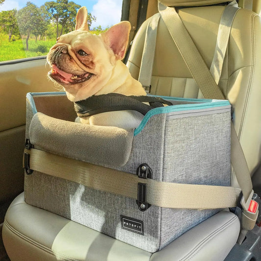 PETSFIT Small Dog Booster Car Seat with Safety Buckles & Tether, Foldable Grey Oxford Cloth
