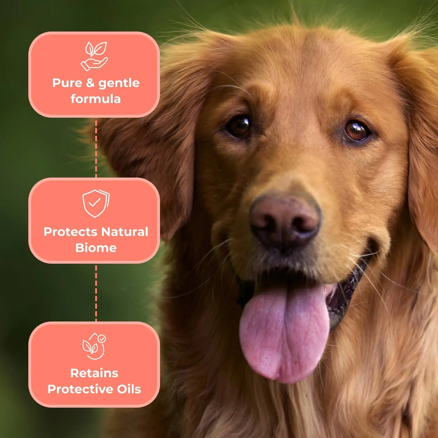 Paw Licker Bundle Dog Yeast Relief Powder & Sensitive Skin Shampoo