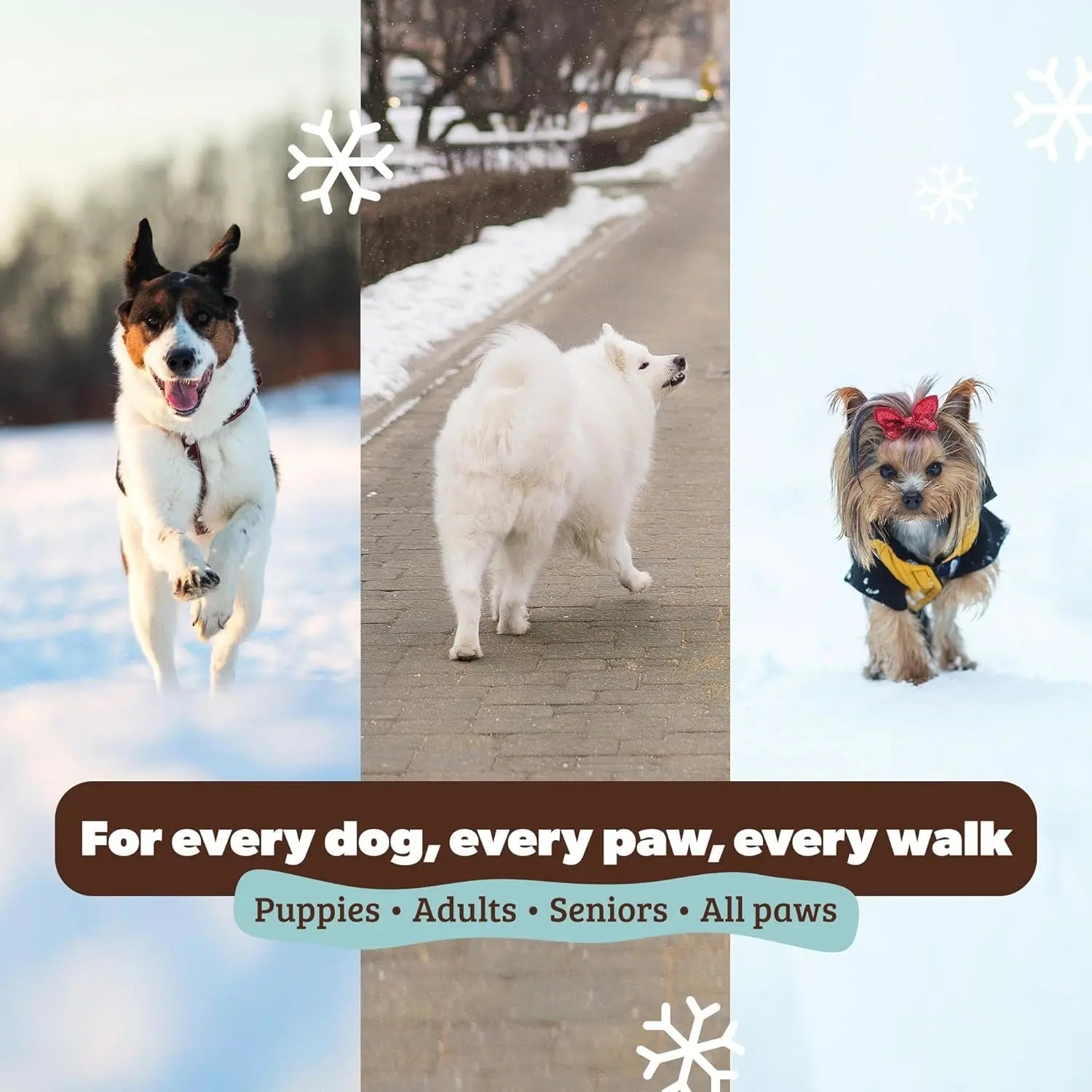 Paw Soother Balm & Wax – Natural Dog Paw Care with Coconut & Hempseed Oils