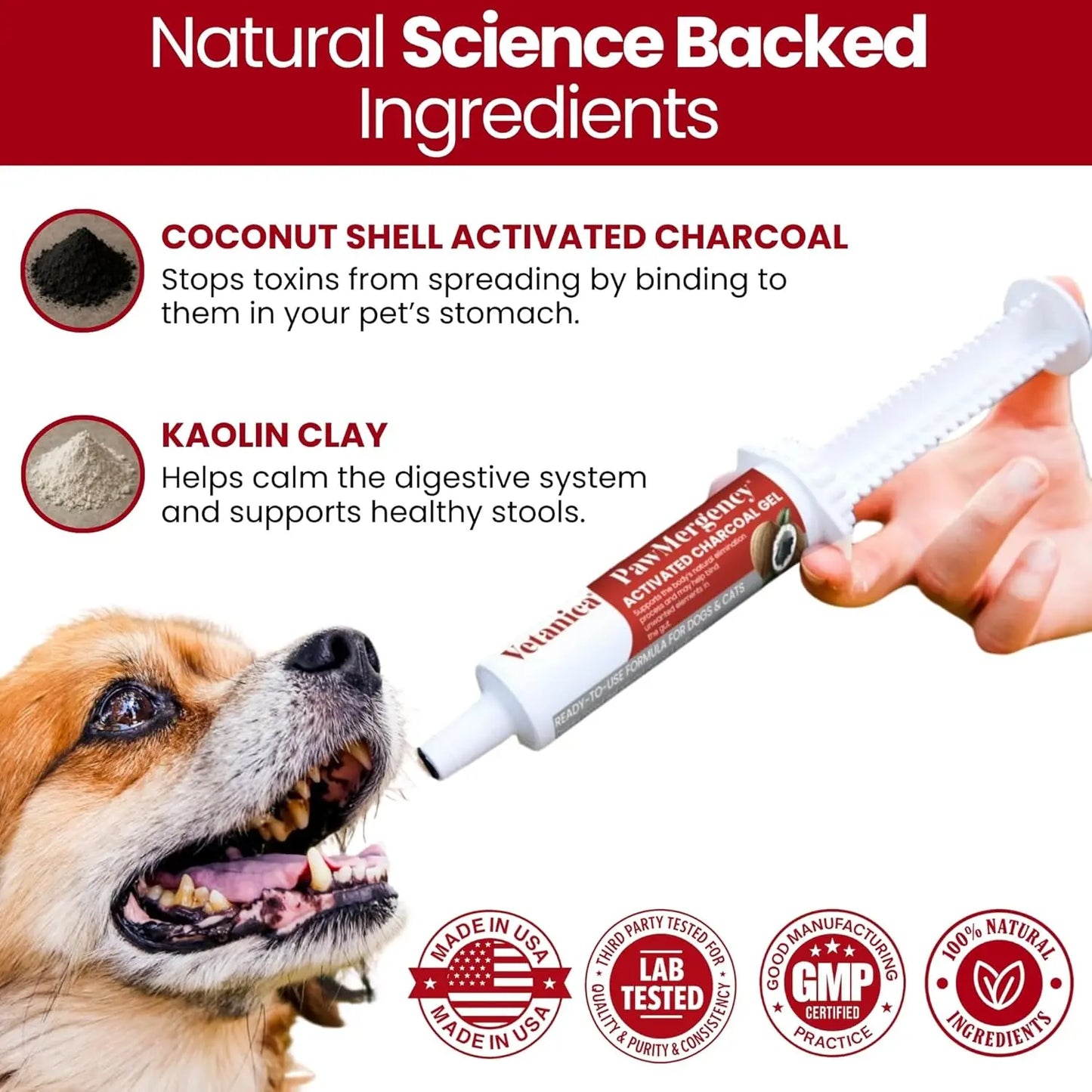 PawMergency Charcoal Pet First Aid – Emergency Toxin Rescue for Dogs & Cats