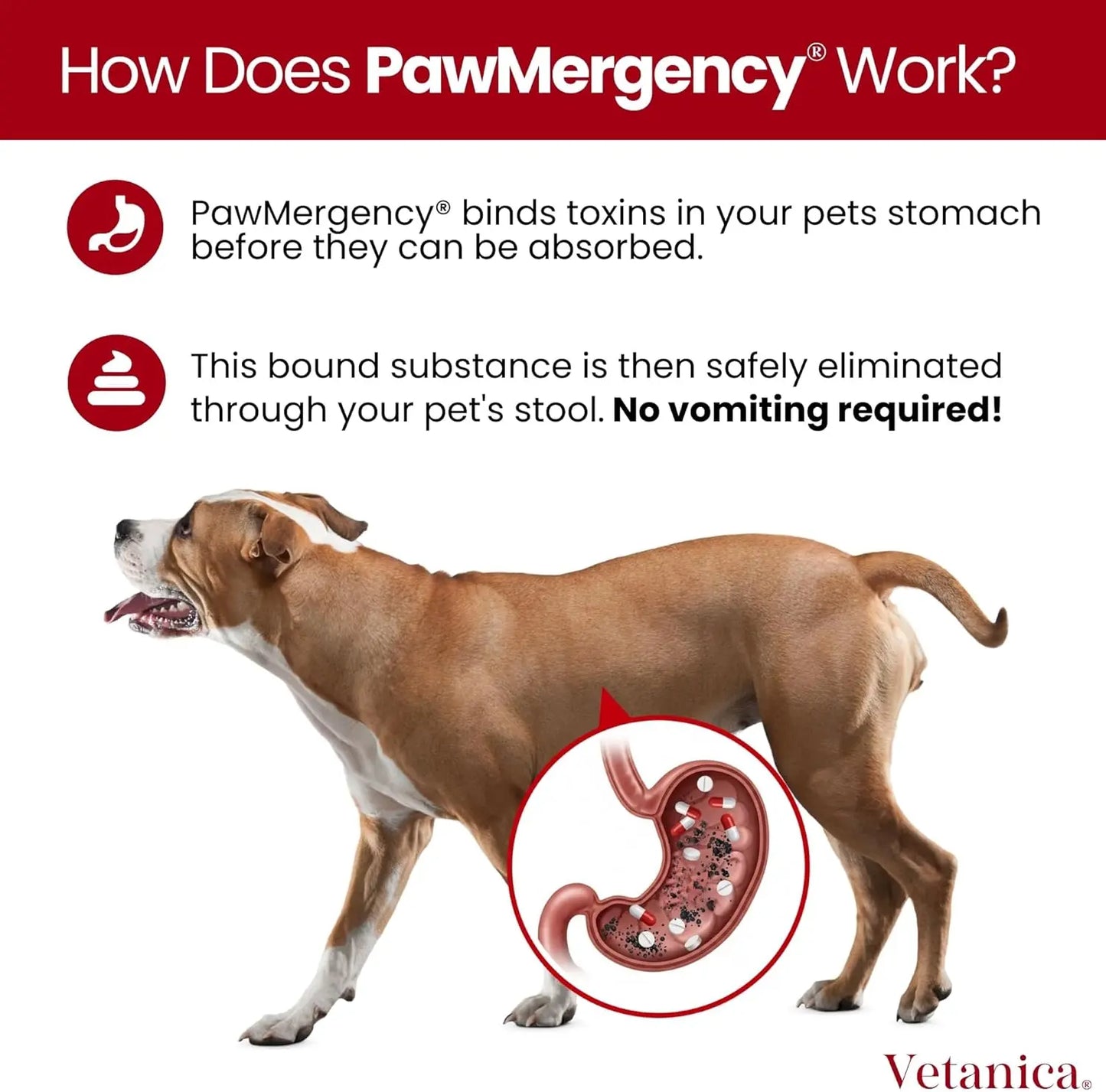 PawMergency Charcoal Pet First Aid – Emergency Toxin Rescue for Dogs & Cats