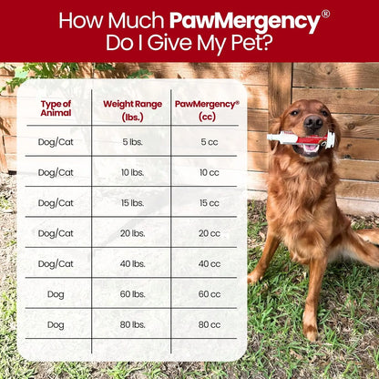 PawMergency Charcoal Pet First Aid – Emergency Toxin Rescue for Dogs & Cats