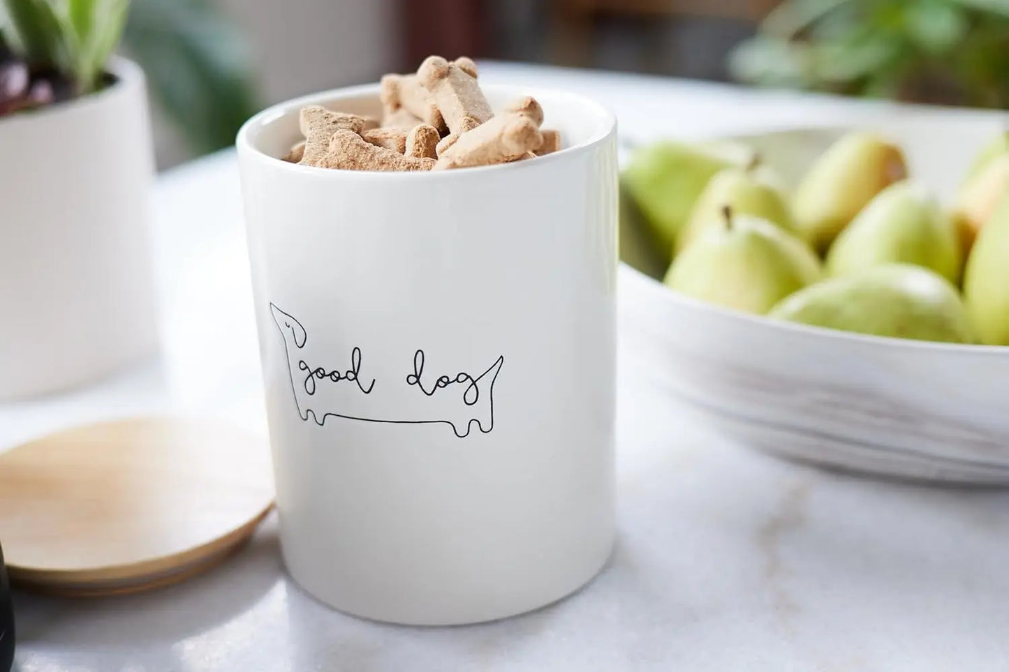 Pearhead Ceramic Treat Jar & M–XL Ceramic Dog Bowl | Modern Pet