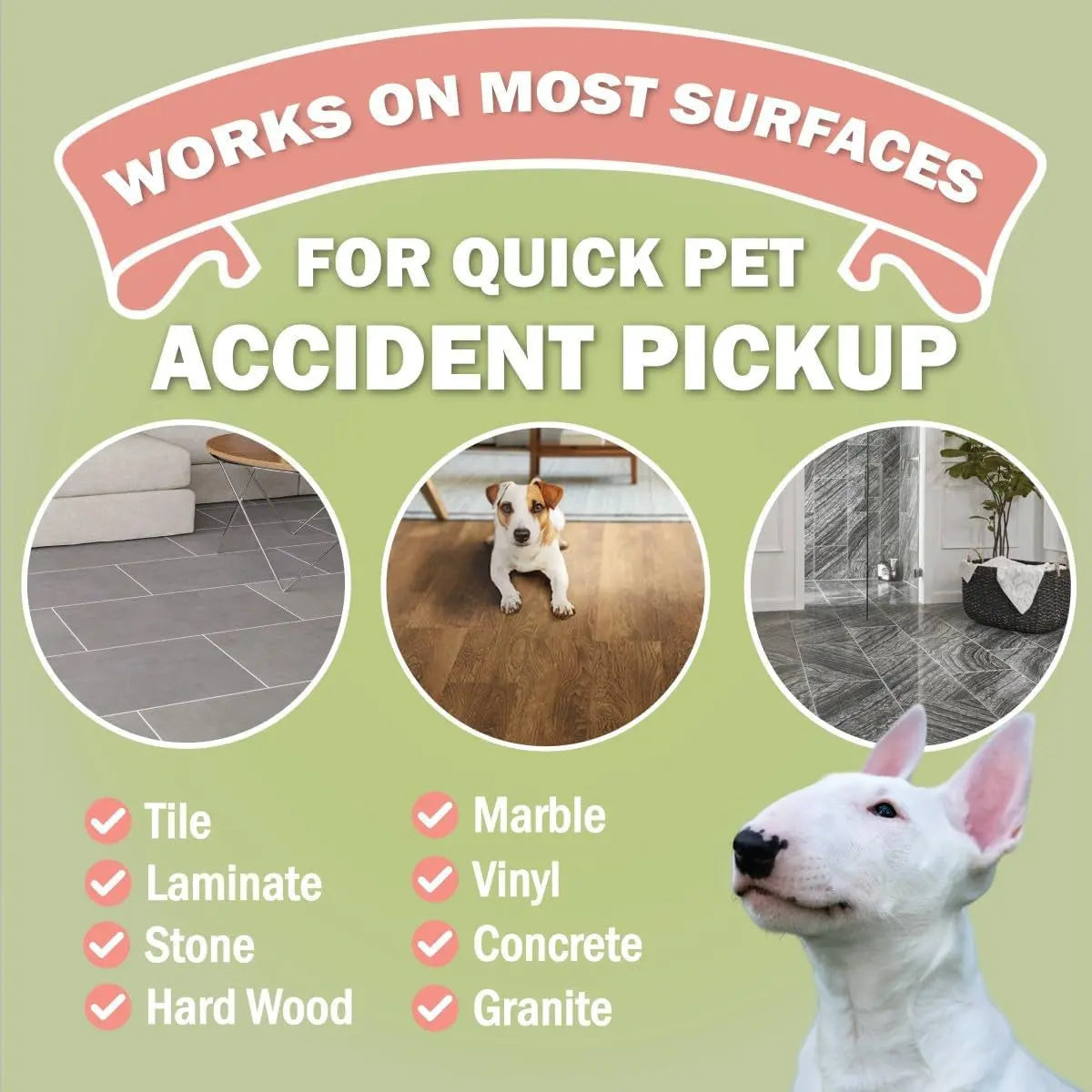 Pet Accident Cleanup Powder Dog Pee Vomit Potty Training Absorbent Odor Remover