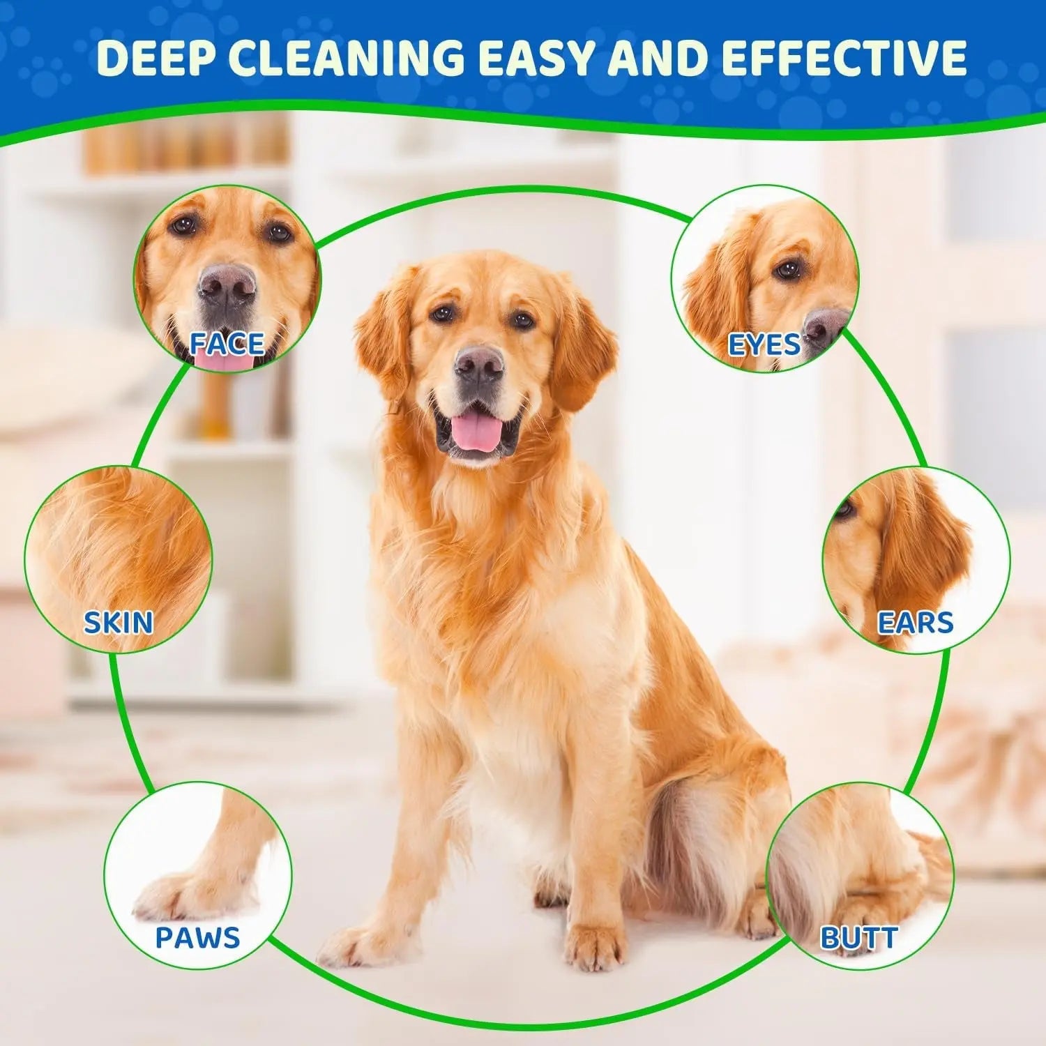Pet Glove Wipes for Dogs, Cats & Small Animals, Unscented Grooming Wipes 24ct