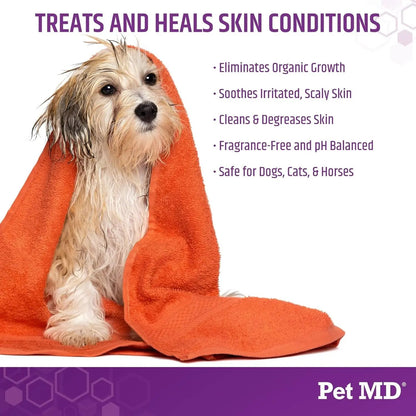 Pet MD Micoseb-CX Medicated Shampoo for Dogs, Cats & Horses – 12 Oz