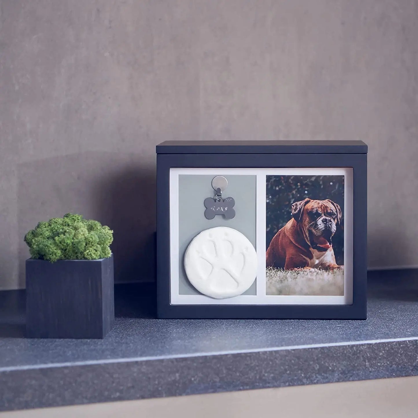 Pet Memorial Urn Keepsake Box for Dogs & Cats w/ Paw Print Kit & Album