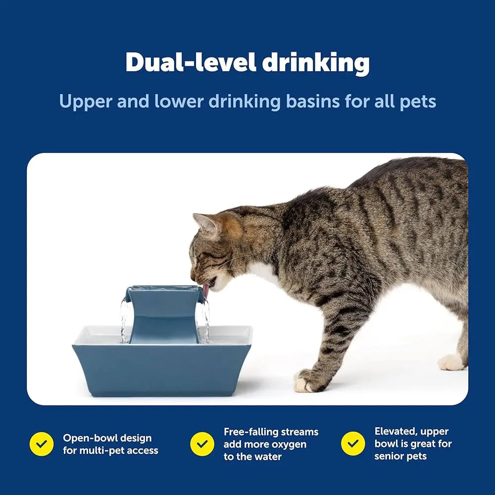 PetSafe Pagoda Ceramic Pet Fountain, Dual Stream, Elevated Bowl, 70 oz