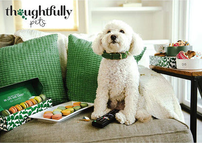 Pink & Blue Dog Birthday Mini Cookie Cake – Peanut Butter, Hand Decorated