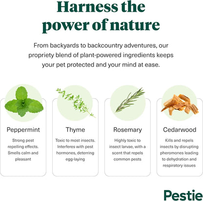 Plant-Powered Flea & Tick Spray – Natural Pest Repellent for Cats & Dogs, 8 oz