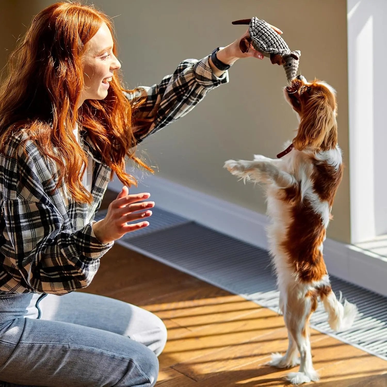 Armadillo Squeaky Plush Dog Toy, Soft Chew Toy for Small & Medium Dogs