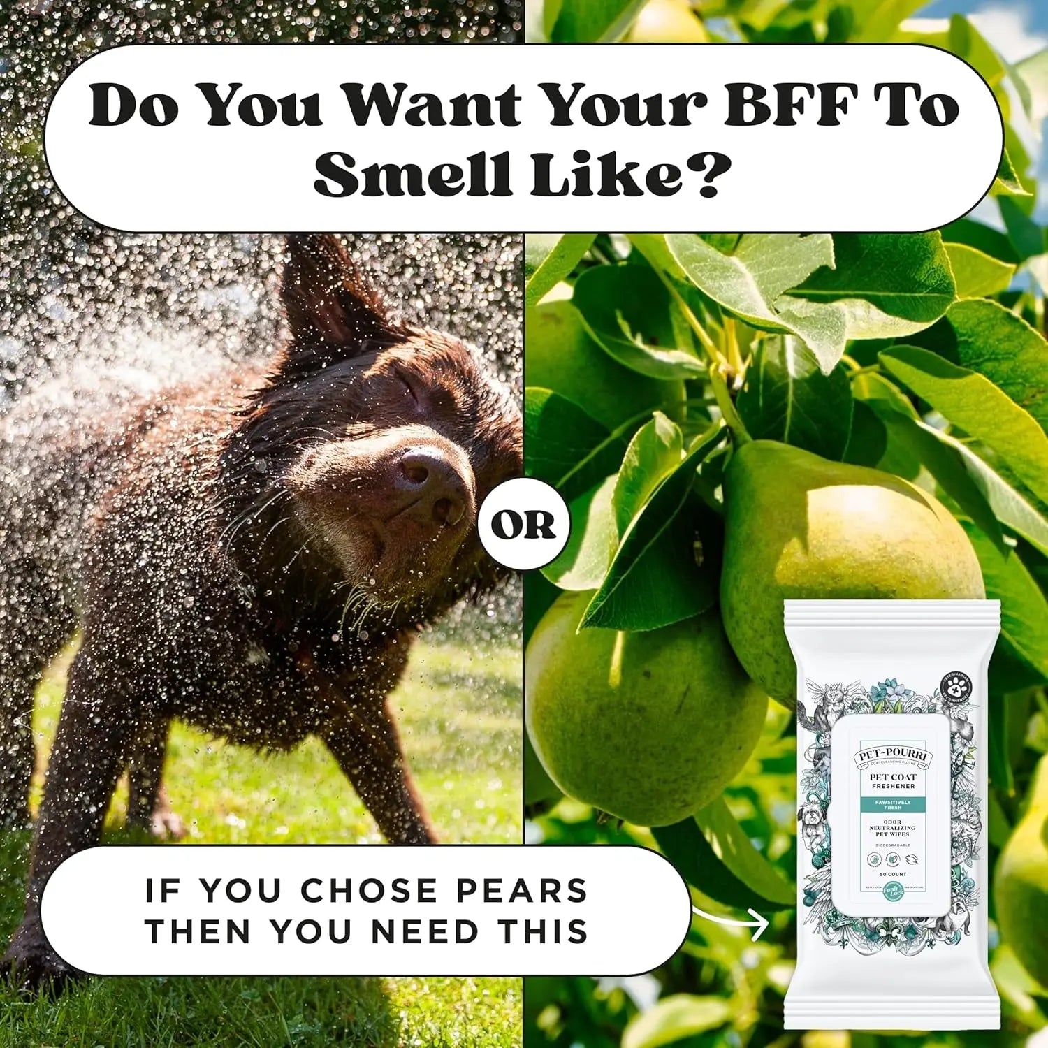 Pawsitively Fresh Pet Wipes Plant Based Deodorizing 50ct