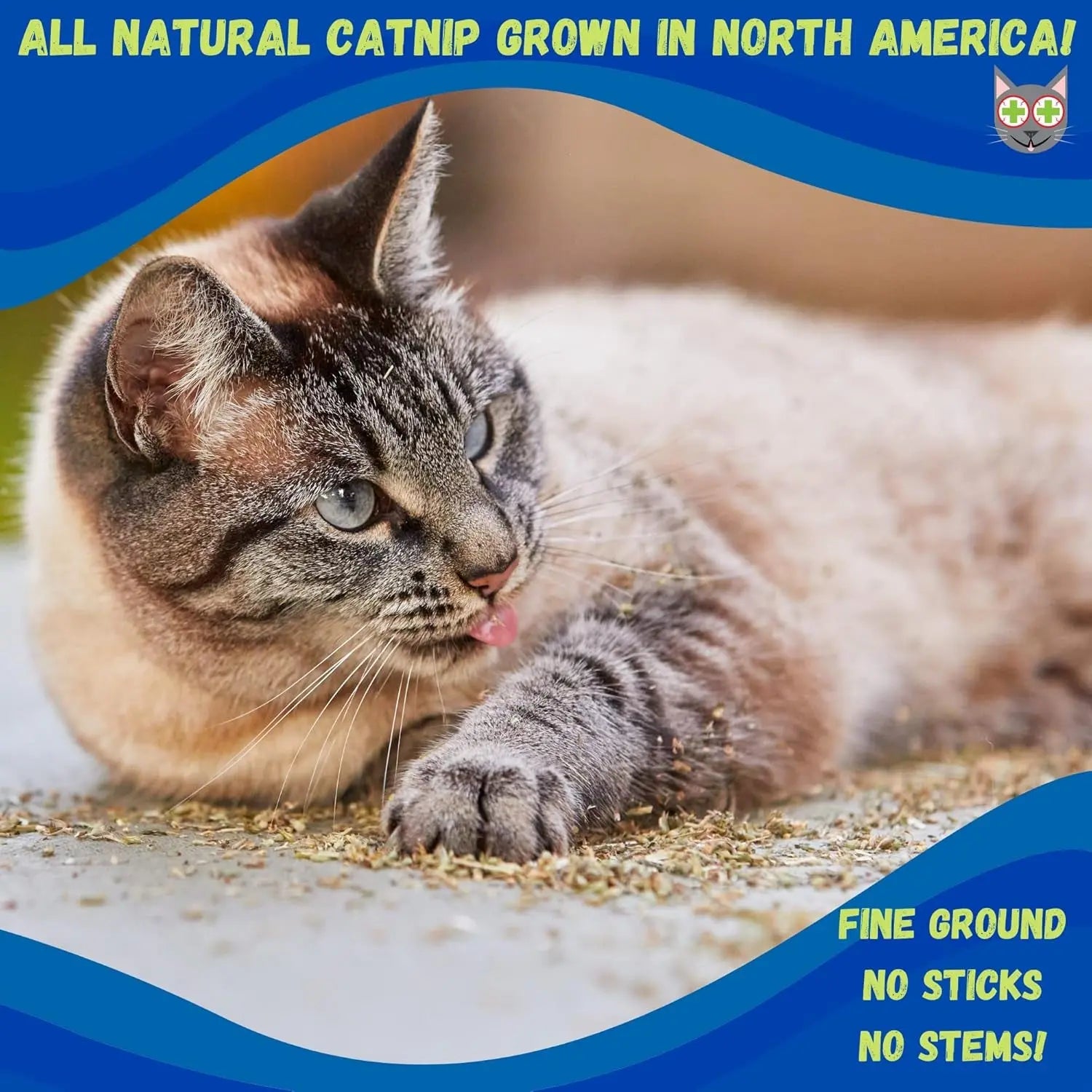 Premium Catnip 6oz or  12oz Stalkless Strong Organic