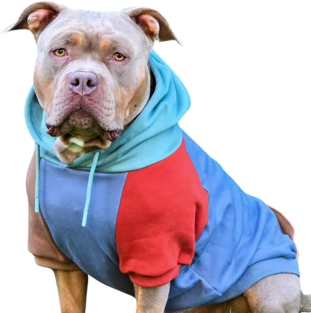 Premium Dog Hoodie – Soft Fleece Stretch Hoodie for Small to Large Dogs S–5XL Alpine