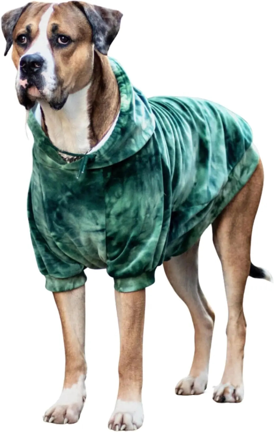 Premium Dog Hoodie – Soft Fleece Stretch Hoodie for Small to Large Dogs S–5XL Green Skydye 4Xl: 80-115Lbs