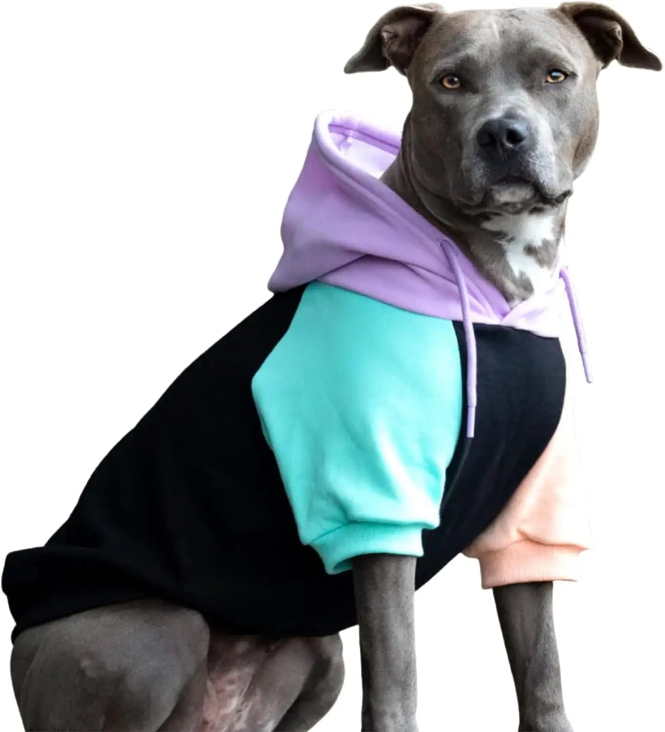 Premium Dog Hoodie – Soft Fleece Stretch Hoodie for Small to Large Dogs S–5XL Cyber Punk