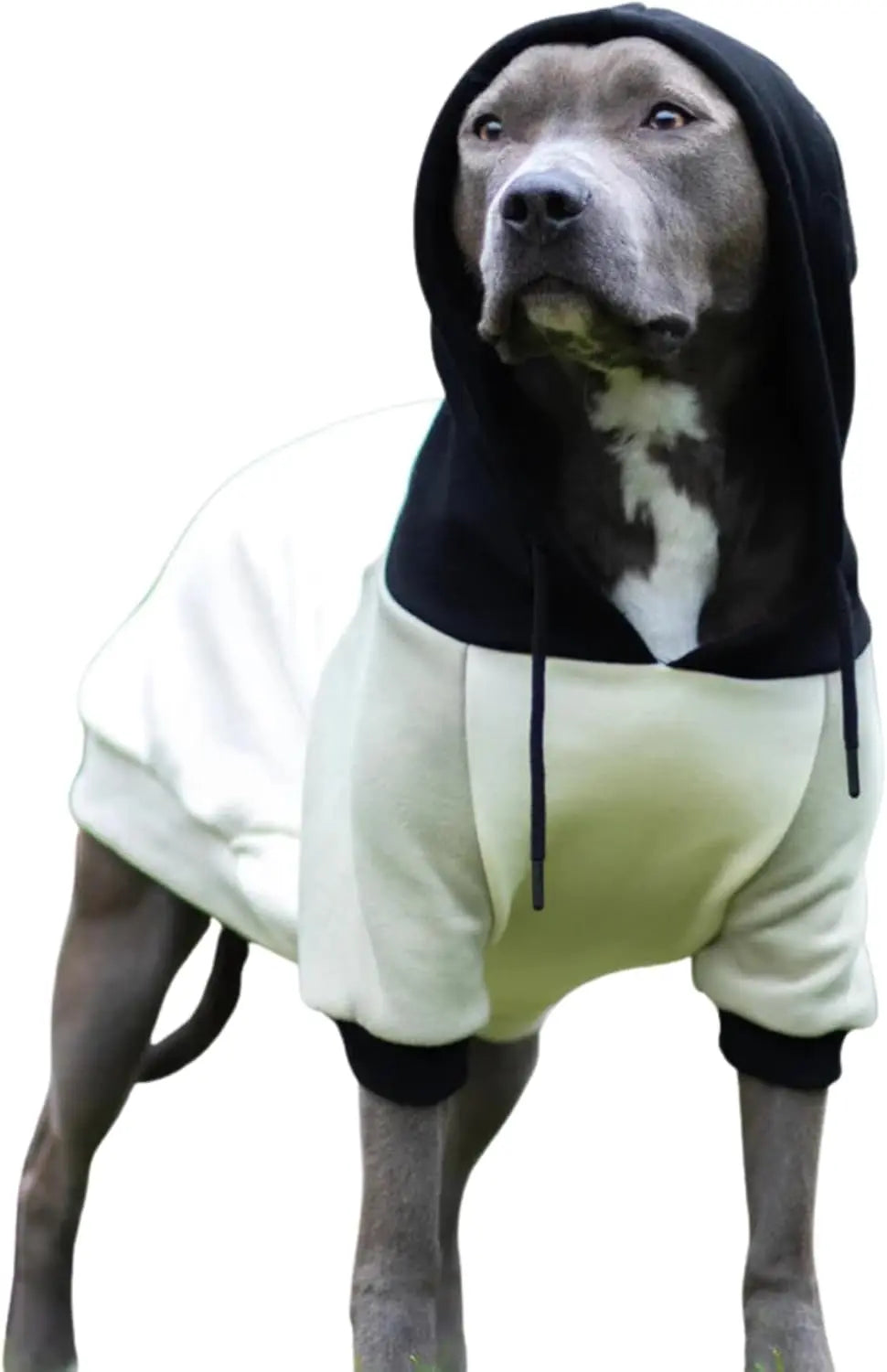 Premium Dog Hoodie – Soft Fleece Stretch Hoodie for Small to Large Dogs S–5XL