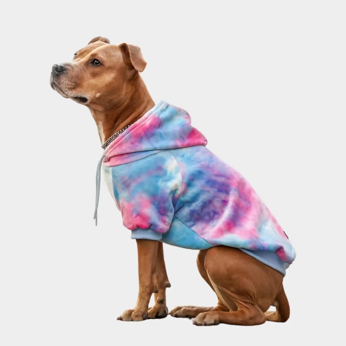 Premium Dog Hoodie – Soft Fleece Stretch Hoodie for Small to Large Dogs S–5XL Snow Cone Skydye 2Xl: 40-60Lbs