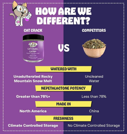 Premium Natural Catnip Blend for Cats Training, Toys & Playtime Stimulation