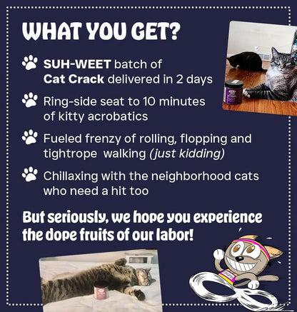 Premium Natural Catnip Blend for Cats Training, Toys & Playtime Stimulation