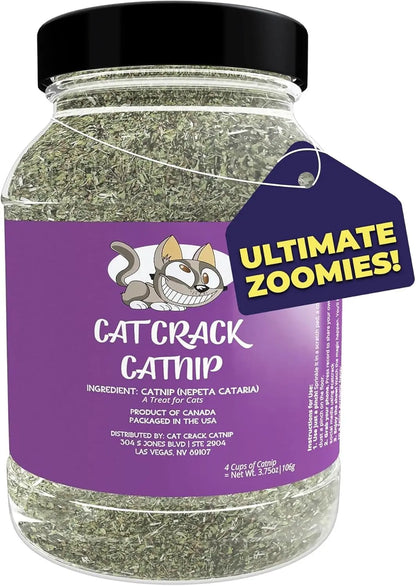 Premium Natural Catnip Blend for Cats Training, Toys & Playtime Stimulation 4 Cups