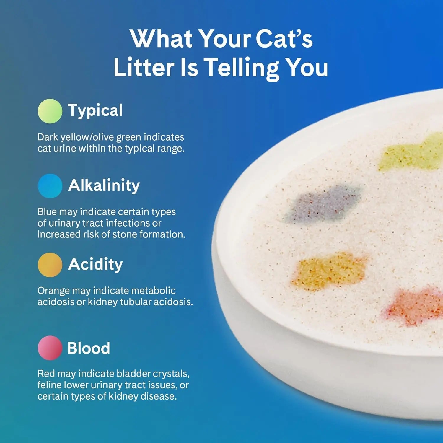 PrettyLitter Health Monitoring Cat Litter – Silica Gel, 6 lbs, Non Clumping