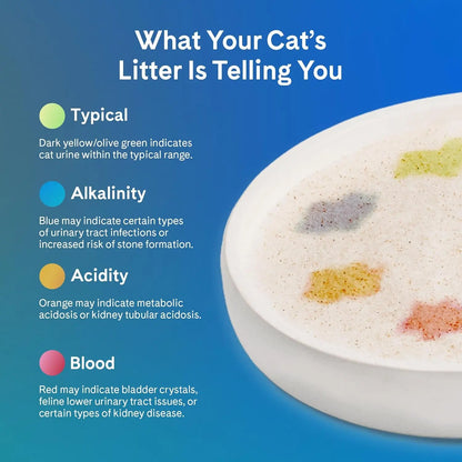 PrettyLitter Health Monitoring Cat Litter – Silica Gel, 6 lbs, Non Clumping