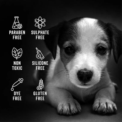 Pride + Groom Sensitive Dog Shampoo Natural Essential Oils 16oz