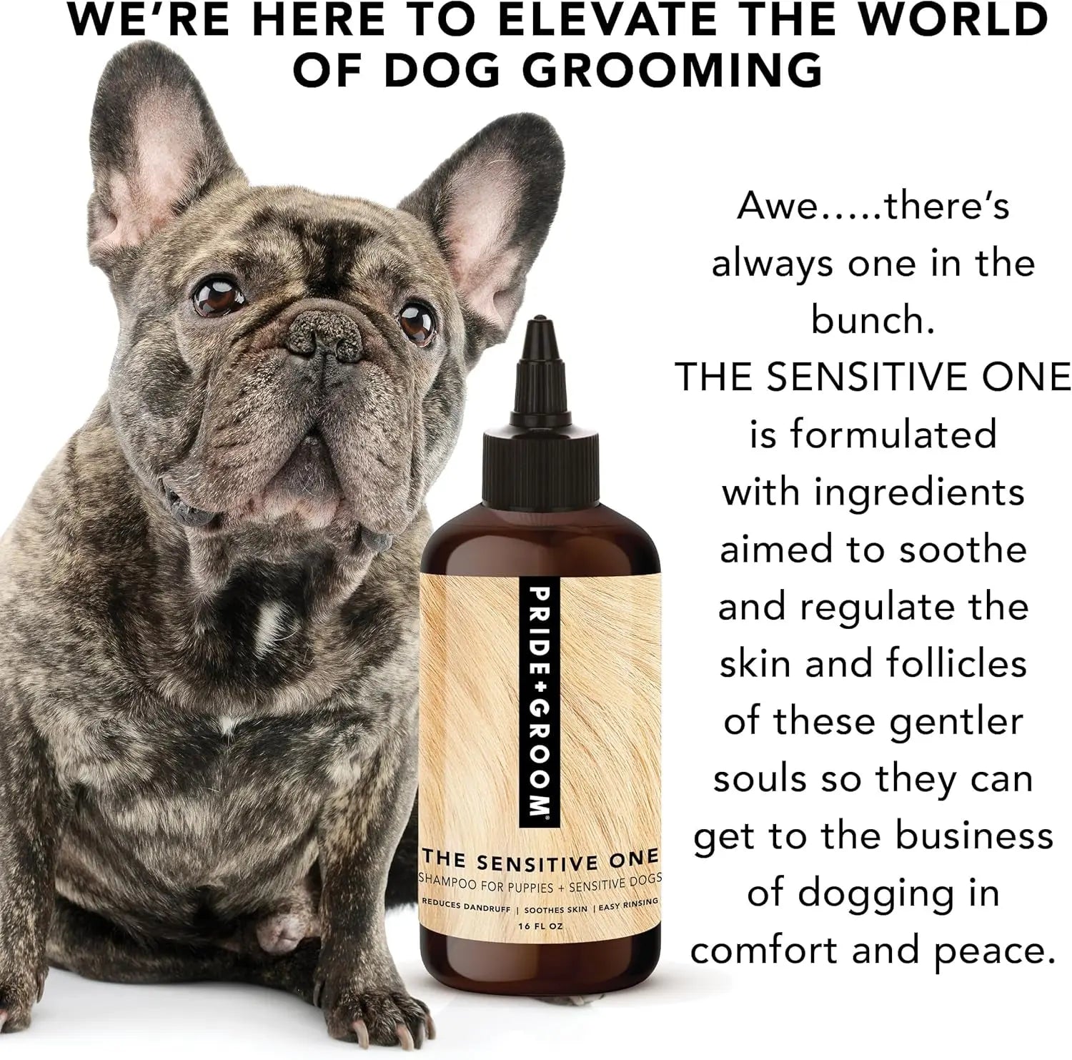 Pride + Groom Sensitive Dog Shampoo Natural Essential Oils 16oz