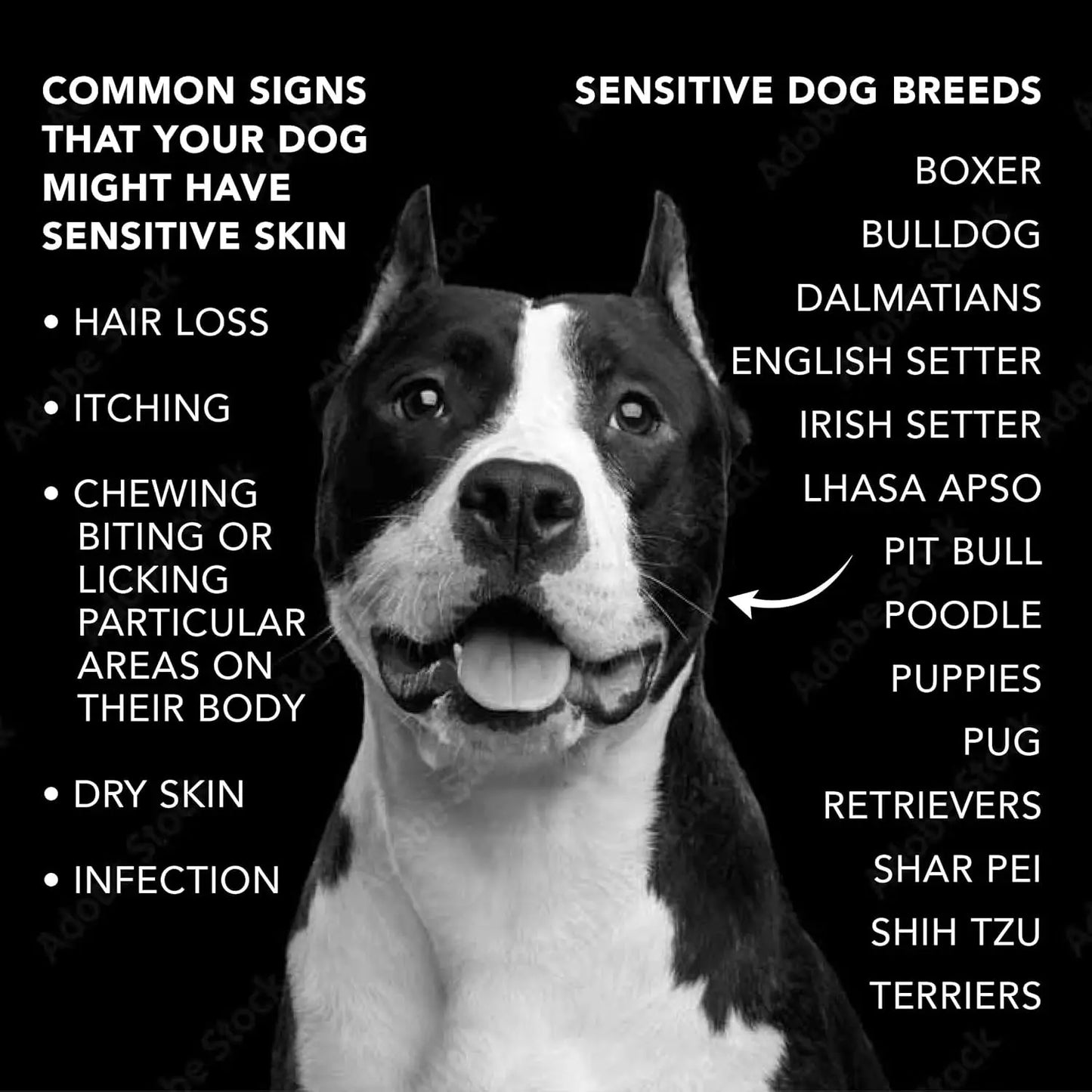 Pride + Groom Sensitive Dog Shampoo Natural Essential Oils 16oz