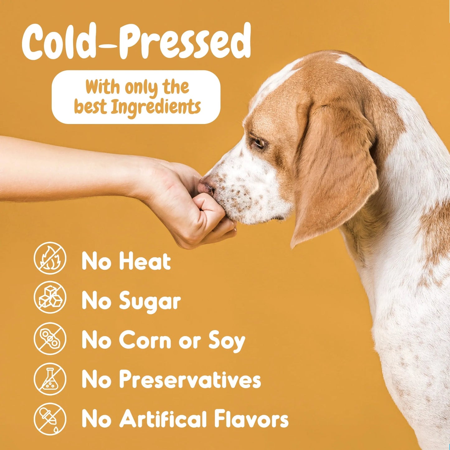 Probiotics for Dogs – Allergy, Gut Health & Digestive Support Chews for Itchy Skin, Yeast & Diarrhea