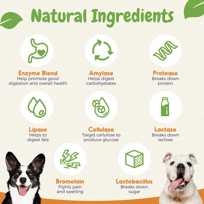 Probiotics for Dogs – Allergy, Gut Health & Digestive Support Chews for Itchy Skin, Yeast & Diarrhea