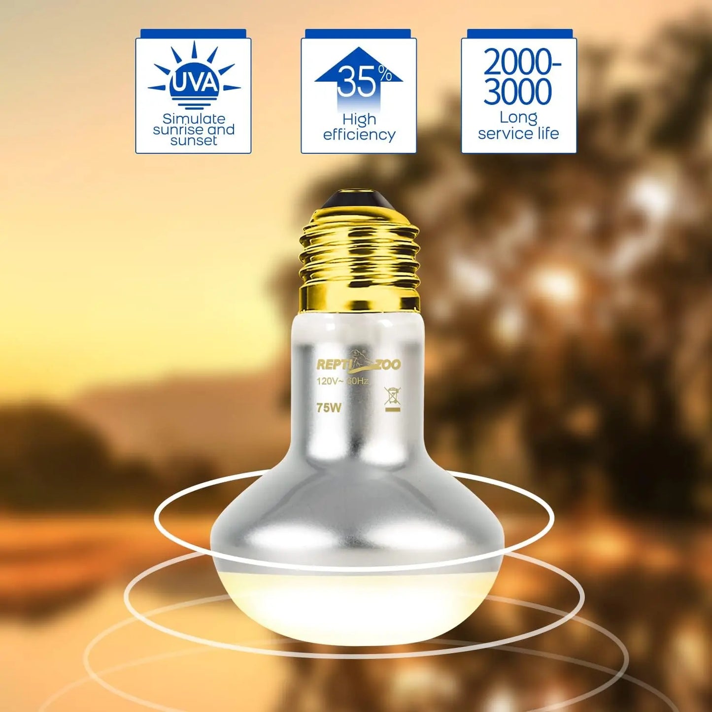 75W Reptile Heat Lamp Bulb 2PCS UVA Daylight & Infrared Night Basking E26
