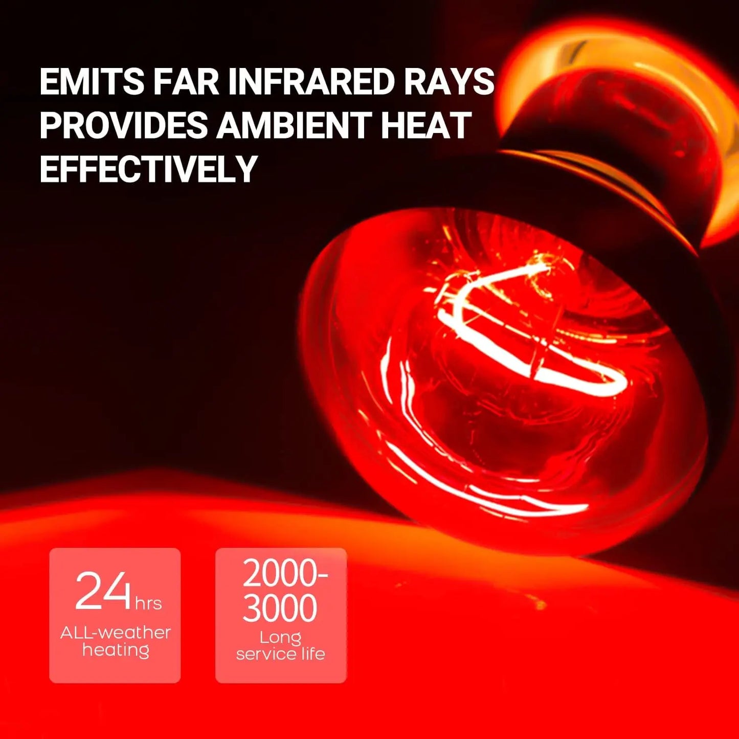 75W Reptile Heat Lamp Bulb 2PCS UVA Daylight & Infrared Night Basking E26