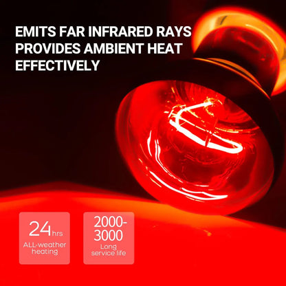 75W Reptile Heat Lamp Bulb 2PCS UVA Daylight & Infrared Night Basking E26