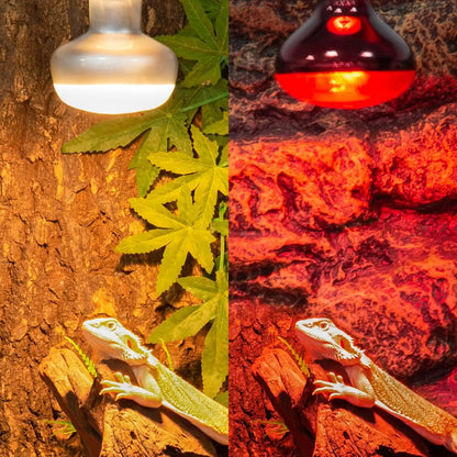75W Reptile Heat Lamp Bulb 2PCS UVA Daylight & Infrared Night Basking E26
