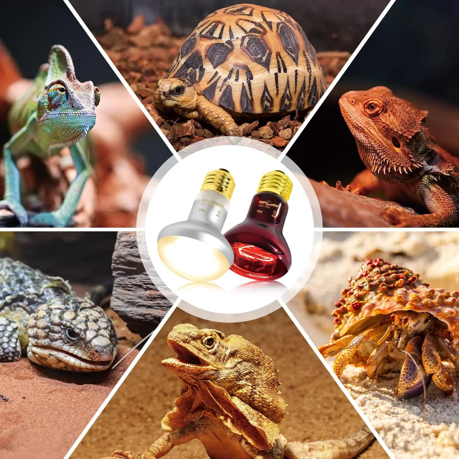 75W Reptile Heat Lamp Bulb 2PCS UVA Daylight & Infrared Night Basking E26