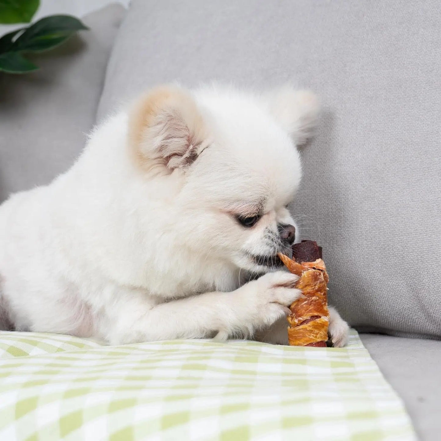 Rawhide Free Dog Treats 3 Inch Chicken Duck Beef Rolls 16 Count 21oz