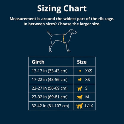 Reflective Adjustable Dog Harness – Lightweight, Padded & No-Pull for Walking