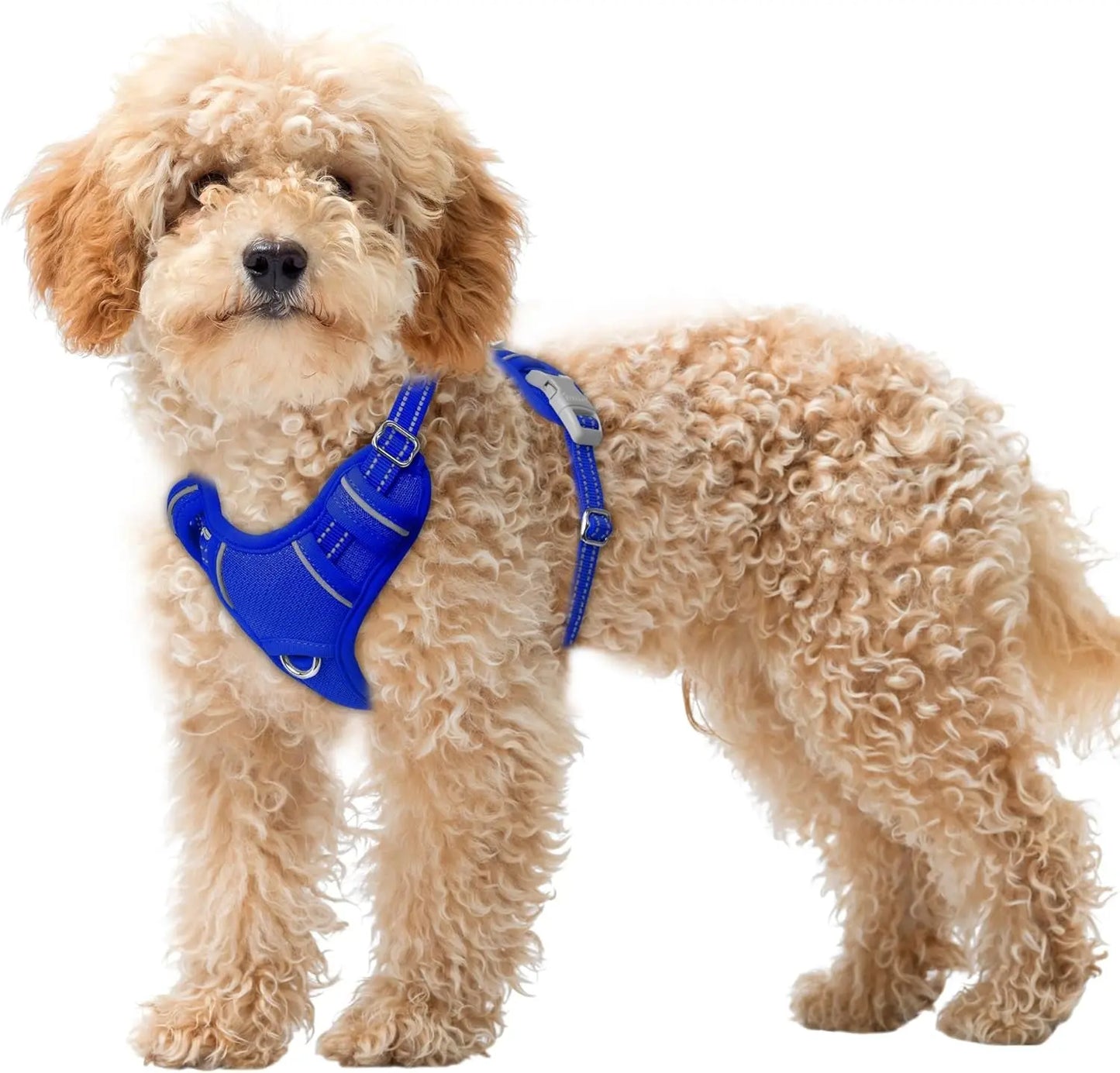 Reflective No-Pull Dog Harness, Adjustable Comfort for Training & Walking Sapphire Blue X-Small