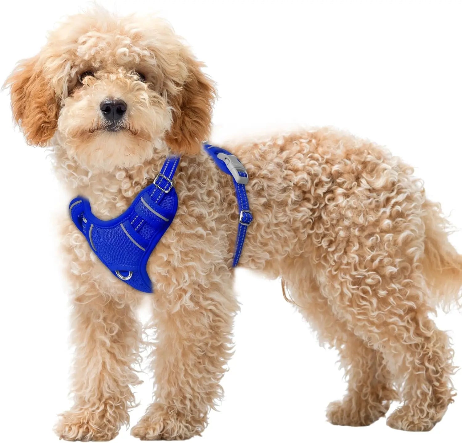 Reflective No-Pull Dog Harness, Adjustable Comfort for Training & Walking Sapphire Blue X-Small