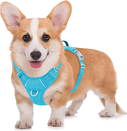 Reflective No-Pull Dog Harness, Adjustable Comfort for Training & Walking Blue Medium