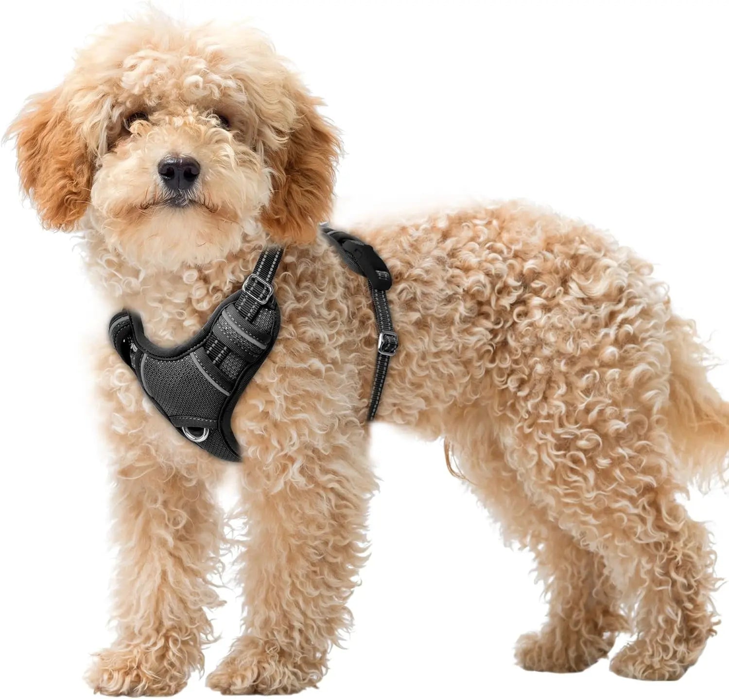 Reflective No-Pull Dog Harness, Adjustable Comfort for Training & Walking Black X-Small
