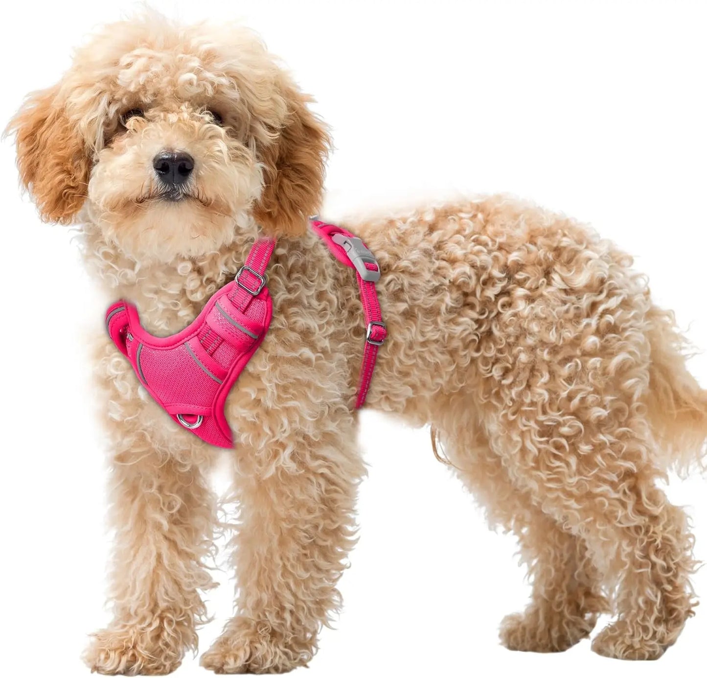 Reflective No-Pull Dog Harness, Adjustable Comfort for Training & Walking Pink X-Small