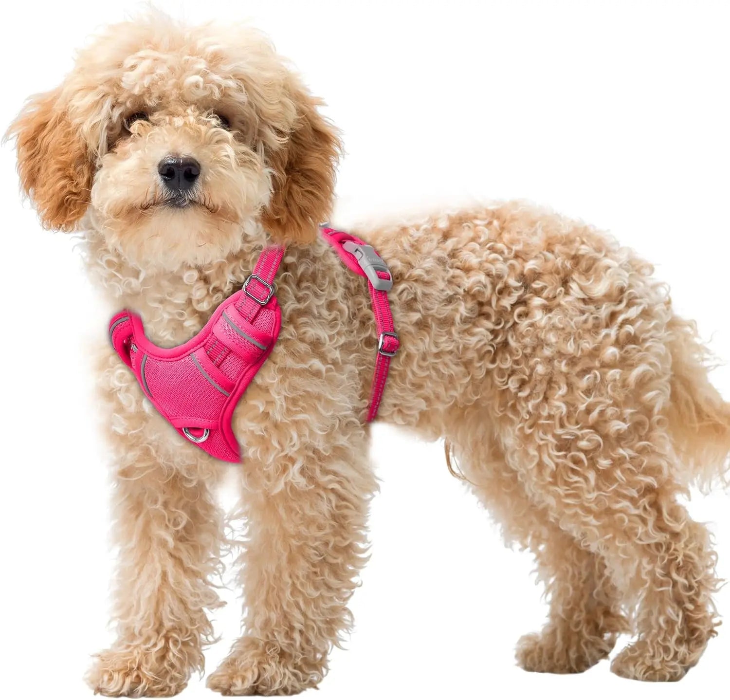 Reflective No-Pull Dog Harness, Adjustable Comfort for Training & Walking Pink X-Small