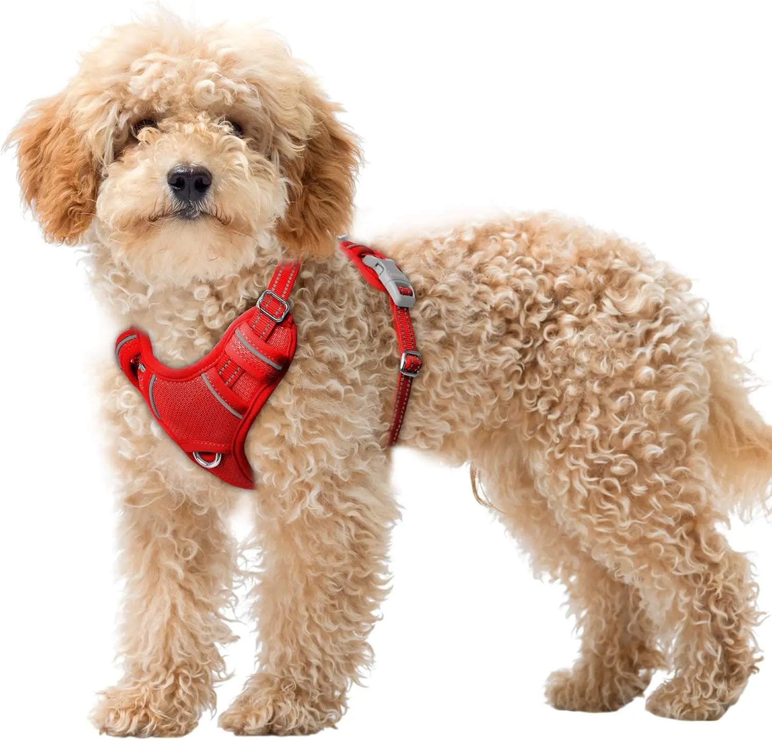 Reflective No-Pull Dog Harness, Adjustable Comfort for Training & Walking Red X-Small