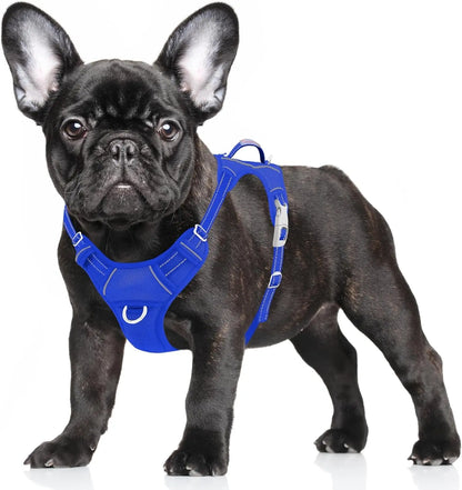 Reflective No-Pull Dog Harness, Adjustable Comfort for Training & Walking Sapphire Blue Small