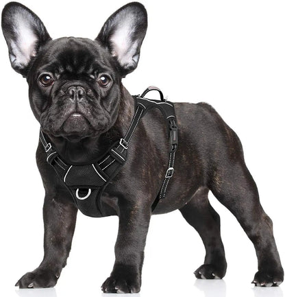 Reflective No-Pull Dog Harness, Adjustable Comfort for Training & Walking Black Small