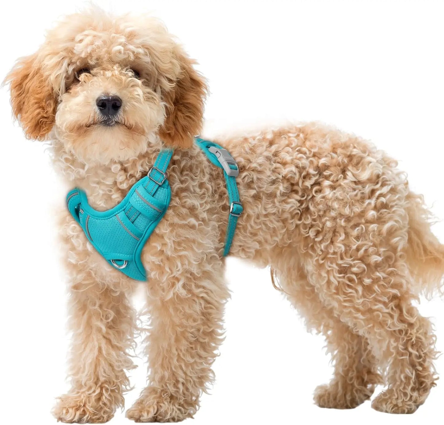 Reflective No-Pull Dog Harness, Adjustable Comfort for Training & Walking Ocean Blue X-Small